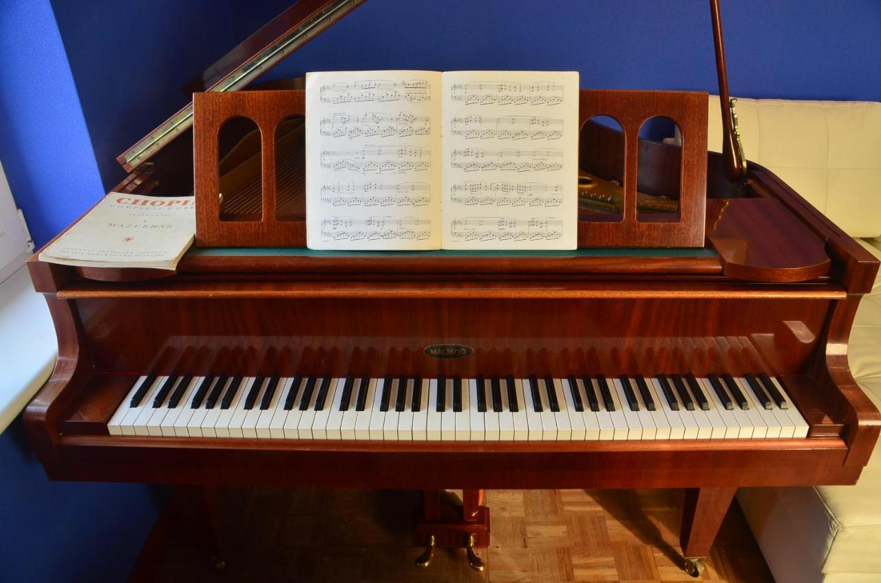 Dark Amber- 3 Grand Piano Apartment Swinoujscie